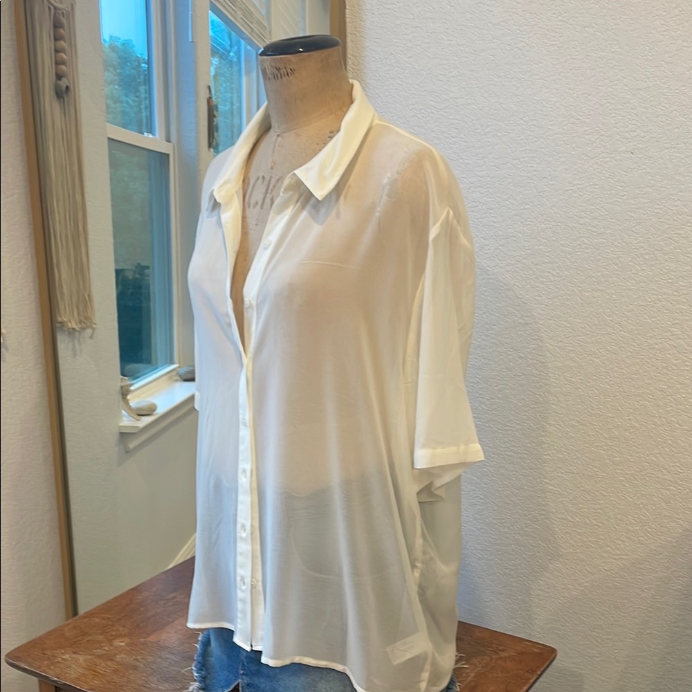 Sheer Classic Blouse